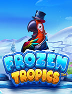 คาสิโน แต่งตัว: ความน่าสนใจของการทดลองเล่น